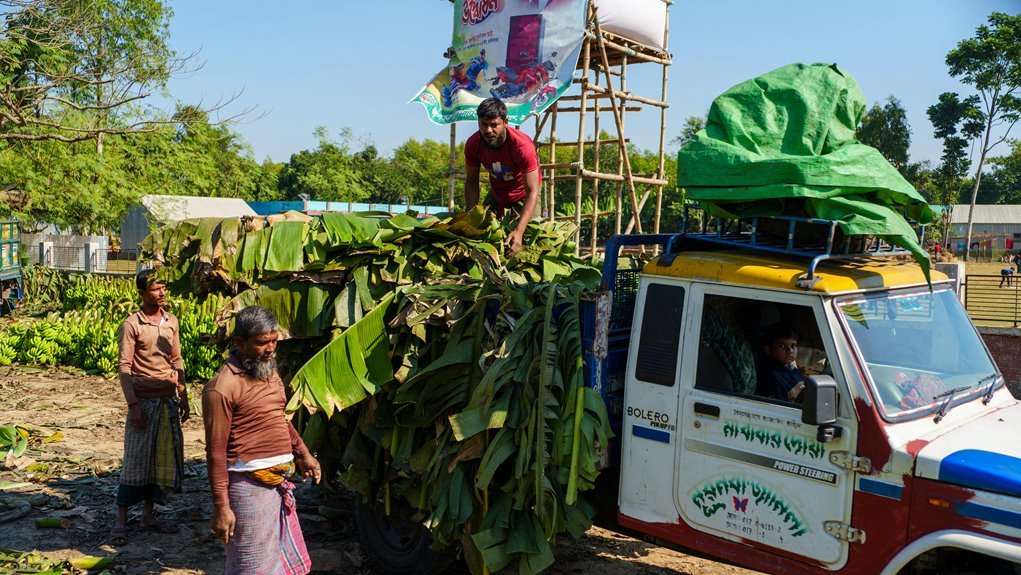 business evaluation and analysis