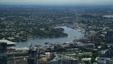 commercial landscape analysis report