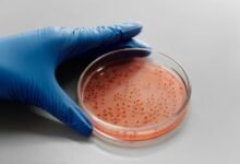 sector growth data analysis