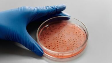 sector growth data analysis