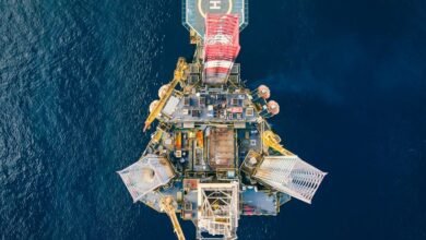 professional digital platform for performance