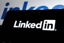 professional web platform for businesses