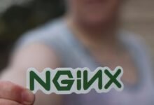 professional web system efficiency optimized